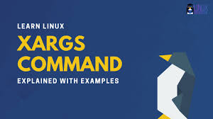 How To Use Xargs Command In Linux Explained With Examples