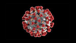 A coronavirus is a common virus that causes an infection in your nose, sinuses, or upper throat. 8 Questions Employers Should Ask About Coronavirus