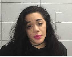 Wareham Police arrest 14 within days of each other