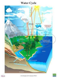 Cbse Science Charts