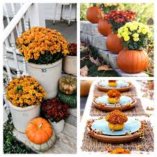 Fall mums add beautiful color to your porch or landscape when the rest of the garden is fading. Decorating With Mums For Fall Floral Decor Ideas A Cultivated Nest