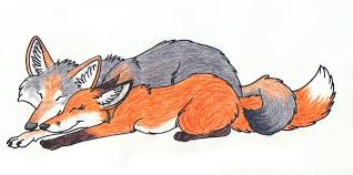 Wolf And Fox Google Search Fox Art Fox Illustration Animal Art