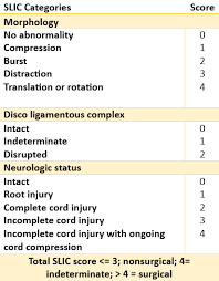 Image result for Subaxial Injury Classification Scale