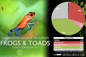 chart the worlds most endangered frogs