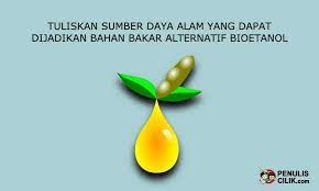 Tuliskan Sumber Daya Alam Yang Dapat Dijadikan Bahan Bakar Alternatif Bioetanol Penulis Cilik Bahan Bakar Sumber Daya Alam Energi Alternatif