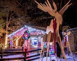 Zoolights Returns To Stone Zoo In Stoneham November 27 Northshore Magazine