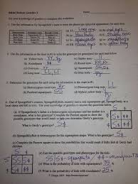 Spongebob genetics quiz answer key + my pdf collection 2021 the complete guide to excel 2016, from mr. 35 Bikini Bottom Genetics Worksheet Worksheet Project List