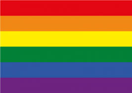 Complete guide to lgbtq flags. Flaggenlexikon Csd Deutschland