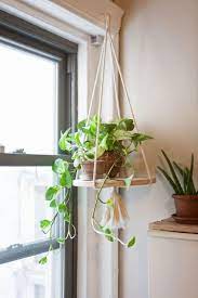 10 gorgeous indoor plant decoration ideas for your home hanging plants diy small macrame planter