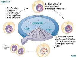 An Najah National University Ppt Download