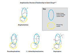 For example, you might need to take a drug test before you start a new job. Ask The Expert False Positive Amphetamine Urine Screens