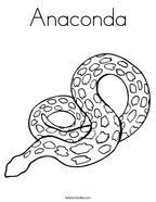 Enjoy these free coloring pages to color and paint for kids of all ages: Reptile Coloring Pages Twisty Noodle