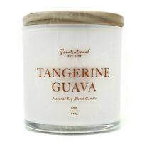 Scentsational Natural Soy With Essential Oils 11oz Wick Candle Christmas Spirit Ebay