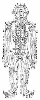 Chinese Acupuncture Chart Showing The Kidney Meridian