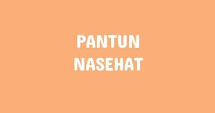 Kumpulan Contoh Pantun Nasehat Berisikan Nasehat Dari Orang Tua Kepada Anaknya Agar Anak Disiplin Tekun Rajin Belajar Dan Memilik Pendidikan Orang Belajar