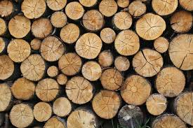 We will ask a few questions to match you with the top rated pros near you. Firewood For Sale Regina Tree Service Regina