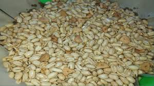 Berikut beragam resep masakan tanpa santan yang lebih sehat dan tak kalah nikmat, disadur dari brilio , selasa (20/10/2020). Super Simple Membuat Kacang Bawang Renyah Dan Gurih Tanpa Santan Youtube