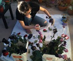 Black Roses Aaryn West