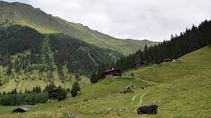 Check spelling or type a new query. Wanderung Zur Zeischalm Von Innervals Valsertal