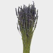 Just compose your message to fit the occasion and your specific need. Lavender Dried Flower Wholesale Blooms By The Box