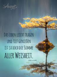 Spruchesammlung Leben Auszeit Bio Auszeitbio Spruche Leben Nachdenkliche Spruche Lebensweisheiten Spruche Spruche