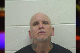 Dana Goodrum — Bulloch County Jail Bookings
