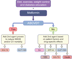 Image result for SGLT2 Inhibitor