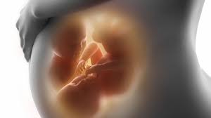 Apabila berat badan dirasa lebih dari itu, hal ini bisa. 6 Risiko Yang Mungkin Dialami Ibu Hamil Kembar Apa Saja