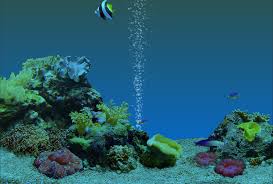 Fondo de pantalla con movimiento. Pin En Berthaemily