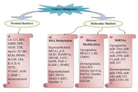 Ovarian cancer is the second most common gynecologic cancer in the united states. Scielo Brasil Biomarkers Towards Ovarian Cancer Diagnostics Present And Future Prospects Biomarkers Towards Ovarian Cancer Diagnostics Present And Future Prospects