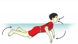 Gerak tarikan, dorongan tangan berenang menggunakan gaya dada telah berkembang menjadi berbagai macam versi yaitu. Teknik Pernapasan Pada Renang Gaya Dada Dan Cara Melakukannya