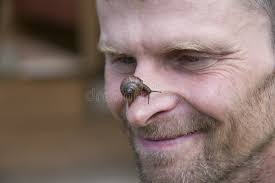 Portret Van Een Man Met Een Slak Op Zijn Neus. Grappig Moment. Grappig  Gezicht Van Een Man Die Een Slak Kijkt Die Op Zijn Neus Kru Stock  Afbeelding