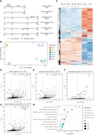 100% safe and virus free.acesse e veja mais informações, além de fazer o opera é um navegador web mundialmente conhecido por quem deseja. Interferon G Signaling In Human Ipsc Derived Neurons Recapitulates Neurodevelopmental Disorder Phenotypes Science Advances