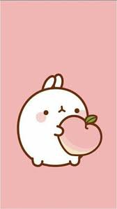 Jual segala macam wallpaper+pemasangan untuk keperluan rumah, kantor, tempat hiburan. Peach Molang Fruit Rosecolor Cute Kawaii Hd Mobile Wallpaper Peakpx
