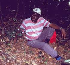 Image result for Scorodophloeus fischeri