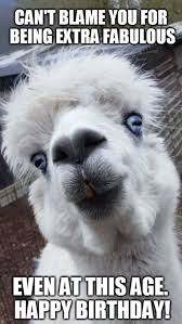 We did not find results for: 50 Best Birthday Memes To Surprise Your Friends During Their Special Day