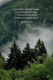 Nature Quotes For The Wandering Soul Nature Quotes Trees Nature Photography Quotes Nature Quotes Nature seems to have neglected no opportunity for ornament.