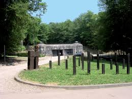 Le fort de schoenenbourg bien entendu, mais pas que ça, le sujet fortification est vaste. Le Fort De Schoenenbourg Du Pays De Wissembourg