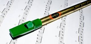 The Tin Whistle The Flutophone And The Slide Whistle What