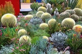 Here are 21 cactus varieties to integrate into your garden design for a cactus specimens with spines need to be handled carefully—avoid getting stuck by wearing thick gardening gloves. 11 Ways To Use Cactus To Enhance Your Landscaping