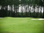 Coastal Pines Golf Club | Official Georgia Tourism & Travel ...