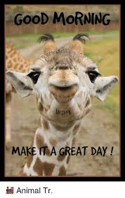 Good morning images with animals hd. Good Morning Animal Memes