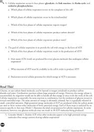 Through the process of cellular respiration , the energy in food is changed into energy that can be used by the body's cells. Cellular Respiration An Overview Pdf Free Download