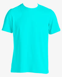 Download Blue T Shirt Png Turquoise Polo Shirt Back 783x931 Png Download Pngkit