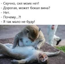 Николай Патрушев Twitterren: &amp;quot;завтра пятница? https://t.co/x6iTyuiV2b&amp;quot; /  Twitter