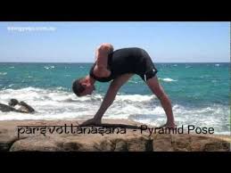 Learn Sanskrit Names Of Basic Yoga Poses Yoga Poses Names Teach Yoga Online All Yoga Poses