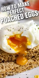 Telur merupakan makanan yang terkenal akan kandungan proteinnya. Cara Membuat Telur Rebus Resepi