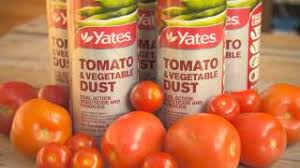 Spinosad is a natural product for the control of caterpillars and thrips. The Garden Gurus Yates Tomato And Vegetable Dust Youtube