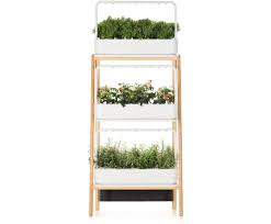 Indoor Herb Garden Kit And Refills Click Grow Herb Garden Kit Herbs Indoors Indoor Herb Garden