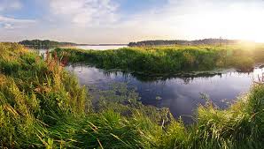 The list was established in response to an article of the convention on wetlands (ramsar, iran, 1971). World Wetlands Day Learning Pack Biodiversity Of India A Wiki Resource For Indian Biodiversity